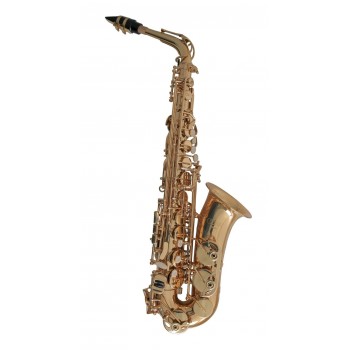 c.g. conn selmer AS501 saxofón alto